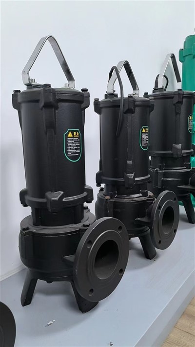 Dompelpomp voor hoge temperaturen